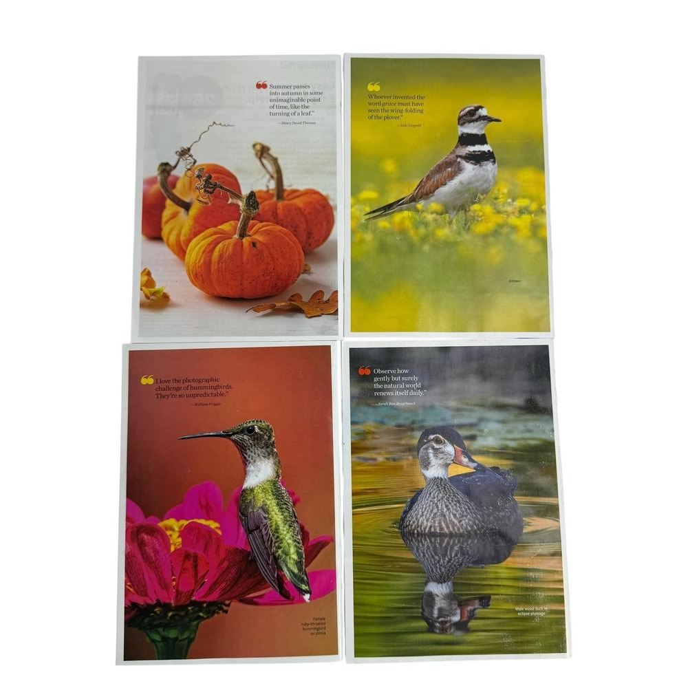 Birds & Blooms Magazine Lot 4 Issues June July Nov 2023 Hummingbird Owls Finch
